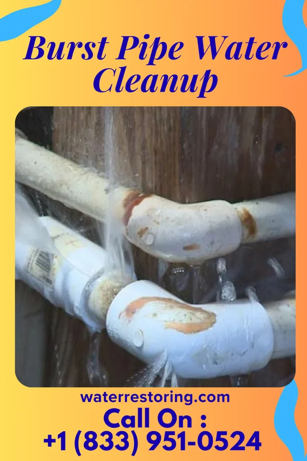 Burst Pipe Water Cleanup in Fairfax, VA