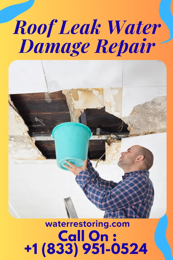 Roof Leak Water Damage Repair in Fairfax, VA