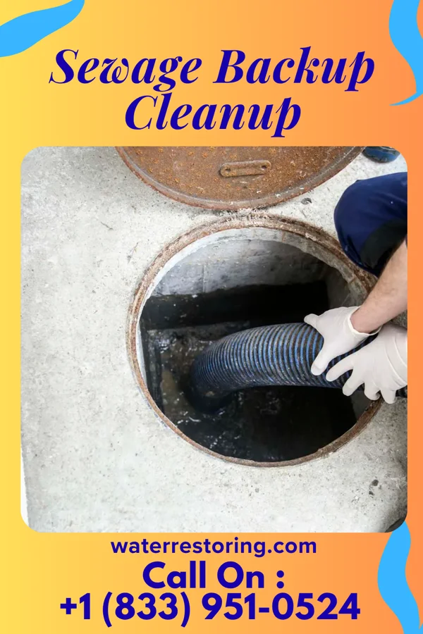 Sewage Backup Cleanup in Fairfax, VA