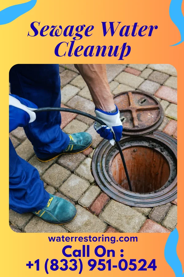 Sewage Water Cleanup in Fairfax, VA