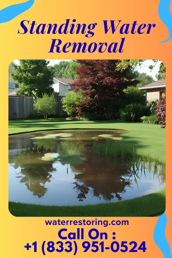 Standing Water Removal in Fairfax, VA